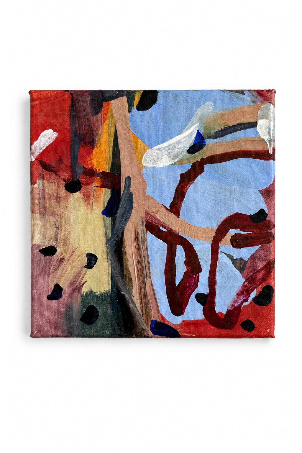 Katherine Lock, Cautionary Tale