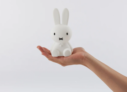 Miffy Bundle of Light