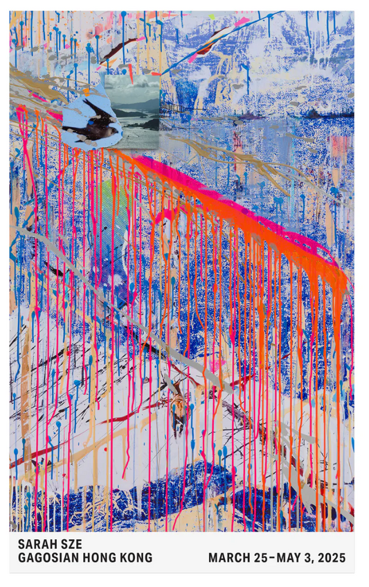 Sarah Sze Poster