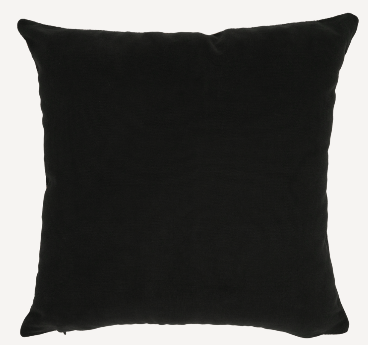 Le rêve Picasso Pillow