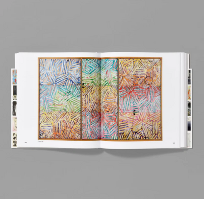 Jasper Johns: Mind/Mirror