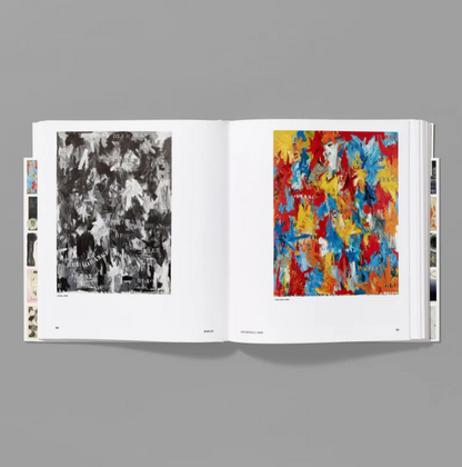 Jasper Johns: Mind/Mirror